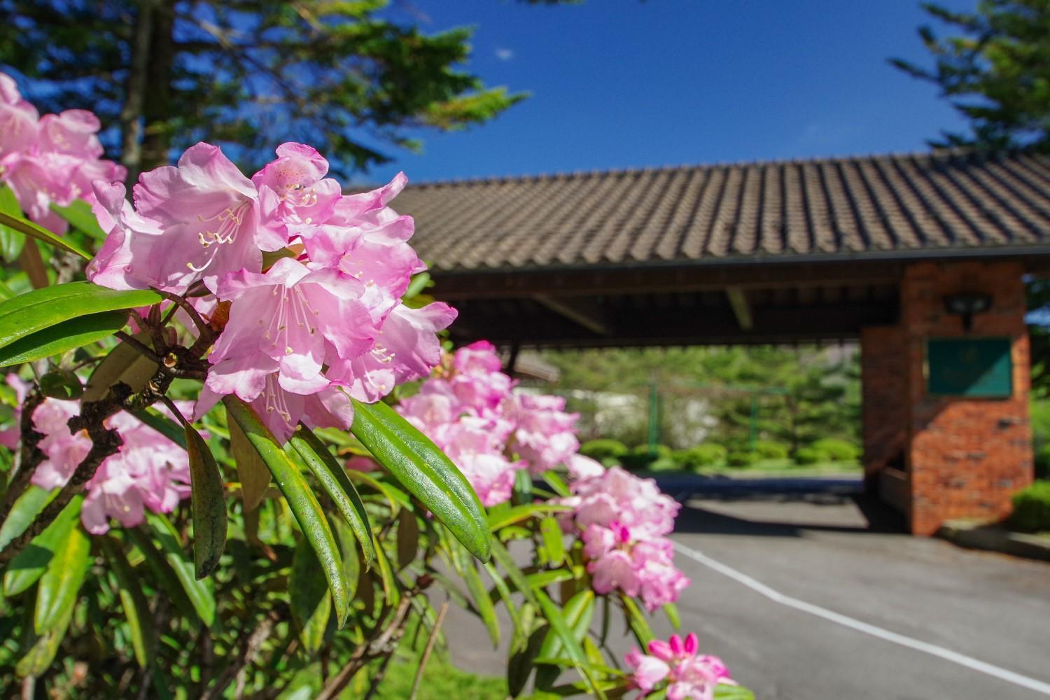 Tsumagoi Prince Hotel מראה חיצוני תמונה